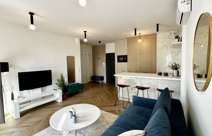 014_apartament_katowice (3)